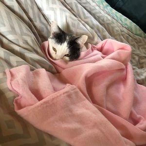 Meet your Posher, Erin